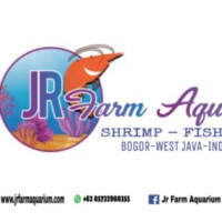 Profile picture of M AGIL SETIAWAN