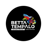 Profile picture of Betta Tempalo