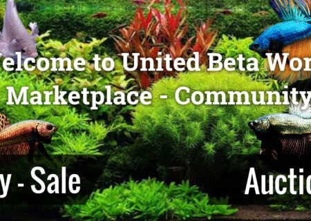 Welcome to United Beta World Marketplace - Community