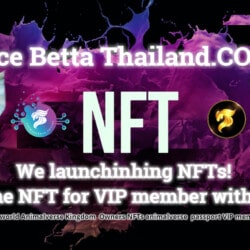 Nice Betta Thailand NFTs (1)